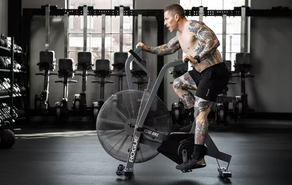 Велотренажер Rogue Echo Bike - В наличии